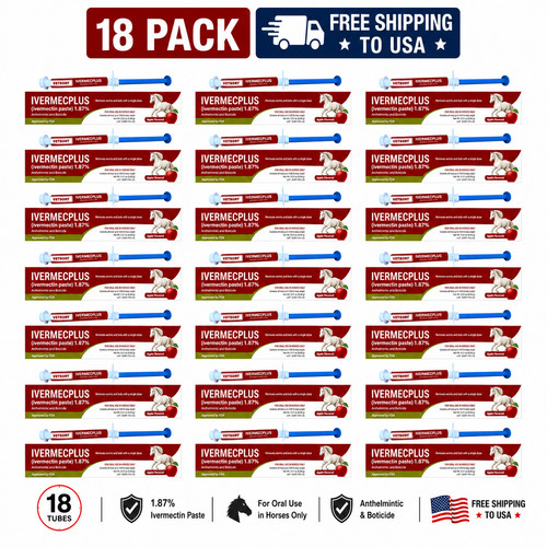 Pack box paste horse - paste,